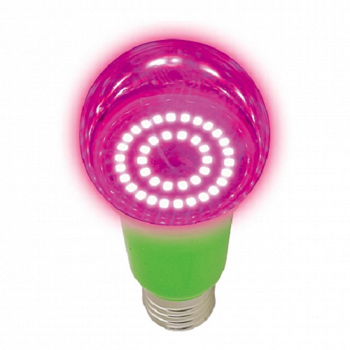 Фито-лампа светодиодная для растений Uniel LED-A60-9W/SP/E27/CL ALM01WH 9Вт 220В А60, Uniel, купить, цена, доставка, безопасность Фито-лампа светодиодная для растений Uniel LED-A60-9W/SP/E27/CL ALM01WH 9Вт 220В А60 Uniel — купить по цене от 800 ₽ | ПрофБезопасность