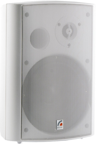 Громкоговоритель настенный Roxton MS-40TW
