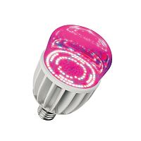 Фито-лампа светодиодная для растений Uniel ALS55WH LED-M80-20W/SP/E27/CL IP54 20Вт 220В Форма М Uniel — купить по цене от 3&nbsp;680 ₽ | ПрофБезопасность