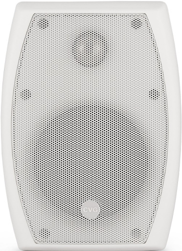 Громкоговоритель настенный CVGaudio ODF408TW