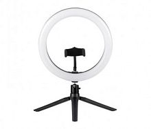 Светильник светодиодный с диммером подставка для смартфона на триног Camelion KD-849 C02 10Вт Черный Camelion — купить по цене от 1&nbsp;890 ₽ | ПрофБезопасность