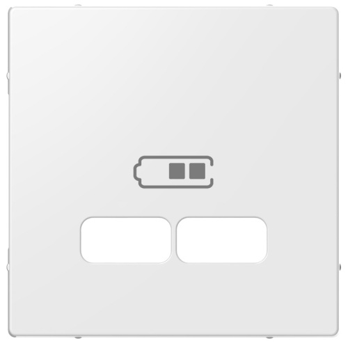 Лицевая панель Schneider Electric Merten System M для 2-м. розетки USB полярно белый Schneider Electric — купить по цене от 593 ₽ | ПрофБезопасность