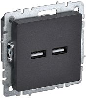 Розетка USB тип A+A без рамки IEK Brite РЮ10-1-БрЧ 2-м. 3100мА черный
