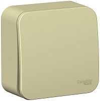 Выключатель кнопочный накладной Systeme Electric Blanca 1-кл. бежевый