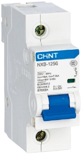 Выключатель автоматический CHINT NXB-125 1п 100А C 10кА