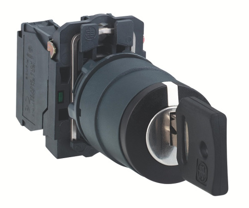 Переключатель с ключом Tekfor SB7-CG25 2 положения NO+NC черный фото 2