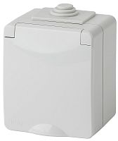 Розетка с заземлением накладная Эра Эксперт 1-м. IP65 серый