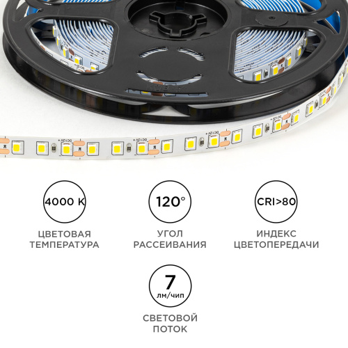 Светодиодная лента 12В Apeyron SMD 2835  120LED 9,6Вт/м 4000К IP20 5м Apeyron — купить по цене от 900 ₽ | ПрофБезопасность