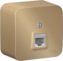 Розетка компьютерная накладная Systeme Electric Blanca 1-м. RJ45 5e титан