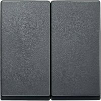 Лицевая панель Schneider Electric Merten System M для 2-кл. выключателя антрацит