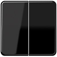 Лицевая панель Jung CD500 для 2-кл. выключателя черный картинка
