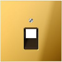 Лицевая панель Jung LS990 metal для 1-м. розетки RJ11/RJ45 золото Jung — купить по цене от 24&nbsp;057 ₽ | ПрофБезопасность