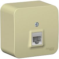 Розетка компьютерная накладная Systeme Electric Blanca 1-м. RJ45 5e бежевый