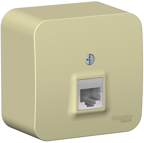 Розетка компьютерная накладная Systeme Electric Blanca 1-м. RJ45 5e бежевый