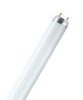 Лампа люминесцентная Osram L36W/950 COLOR PROOF T8 Трубчатая G13 220В 36Вт 5300К  Osram — купить по цене от 1&nbsp;050 ₽ | ПрофБезопасность