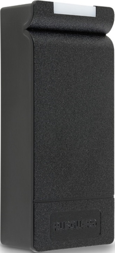 Автономный контроллер RusGuard R-10 MF (черный)