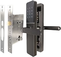 Электронный замок Tantos Rigel Tantos — купить по цене от 16&nbsp;990 ₽ | ПрофБезопасность