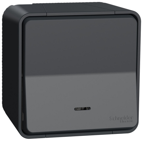 Переключатель с подсветкой накладной Schneider Electric Mureva Styl 1-кл. проходной IP55 антрацит Schneider Electric — купить по цене от 2&nbsp;240 ₽ | ПрофБезопасность