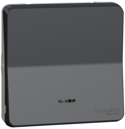Выключатель самовозвратный с подсветкой без рамки Schneider Electric Mureva Styl 1-кл. IP55 антрацит Schneider Electric — купить по цене от 2&nbsp;160 ₽ | ПрофБезопасность