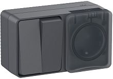 Блок накладной Systeme Electric AtlasDesign Profi54 розетка 1-м.+выключатель 2-кл. IP54 антрацит