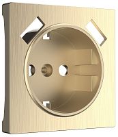 Лицевая панель Werkel для 1-м. розетки 220В+2хUSB шампань рифленый