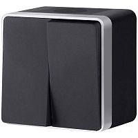 Выключатель накладной Werkel Gallant 2-кл. IP44 черный с серебром