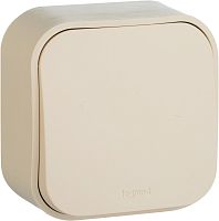 Выключатель кнопочный накладной Legrand Quteo 1-кл. слоновая кость Legrand — купить по цене от 219 ₽ | ПрофБезопасность