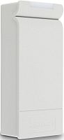 Автономный контроллер RusGuard R-10 MF (серый)