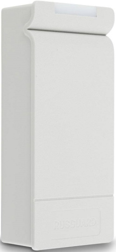 Автономный контроллер RusGuard R-10 MF (серый)