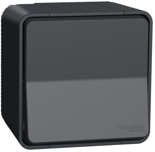 Выключатель самовозвратный накладной Schneider Electric Mureva Styl 1-кл. IP55 антрацит Schneider Electric — купить по цене от 1&nbsp;210 ₽ | ПрофБезопасность
