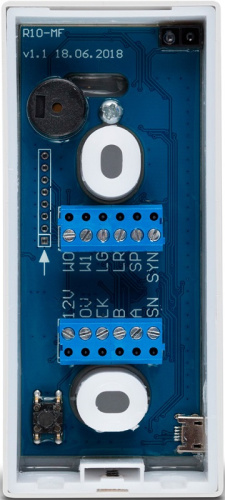 Автономный контроллер RusGuard R-10 EHT (серый) фото 2