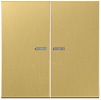 Лицевая панель Jung LS990 metal для 2-кл. выключателя с подсветкой латунь Jung — купить по цене от 9&nbsp;647 ₽ | ПрофБезопасность