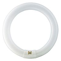 Лампа люминесцентная Osram L32W/840 T8 Кольцевая G10q 50-90В 32Вт 2250Лм 4000К 29х305мм Osram — купить по цене от 1&nbsp;900 ₽ | ПрофБезопасность