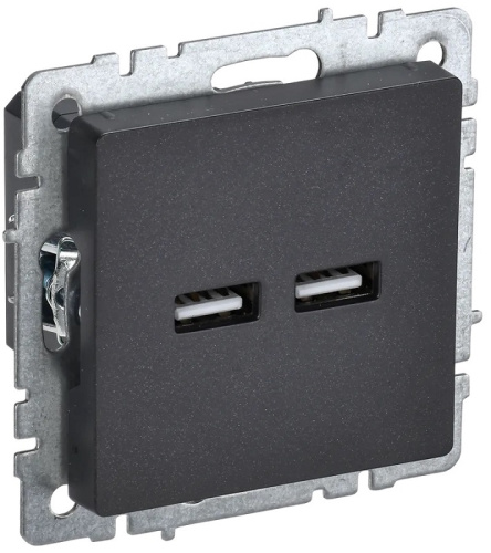 Розетка USB тип A+A без рамки IEK Brite РЮ10-1-БрЧ 2-м. 3100мА черный, IEK, купить, цена, доставка, безопасность Розетка USB тип A+A без рамки IEK Brite РЮ10-1-БрЧ 2-м. 3100мА черный IEK — купить по цене от 1 680 ₽ | ПрофБезопасность