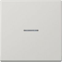 Лицевая панель Jung LS990 для 1-кл. выключателя с подсветкой серый Jung — купить по цене от 3&nbsp;634 ₽ | ПрофБезопасность