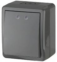 Выключатель накладной Эра Эксперт 1-кл. IP54 серый