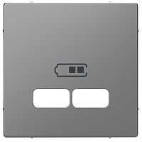 Лицевая панель Schneider Electric Merten D-Life для 2-м. розетки USB сталь