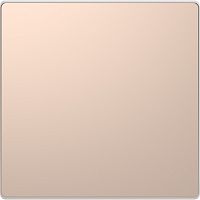 Лицевая панель Schneider Electric Merten D-Life для 1-кл. выключателя шампань