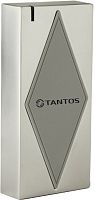 Считыватель бесконтактный Tantos TS-RDR-MF Metal