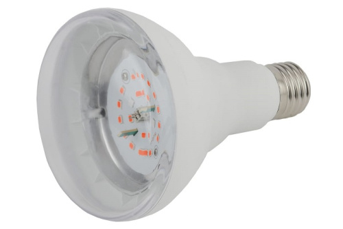 Фито-лампа светодиодная для растений Эра FITO-A60-16W-RB-E27-K 16Вт 220В, Эра, купить, цена, доставка, безопасность Фито-лампа светодиодная для растений Эра FITO-A60-16W-RB-E27-K 16Вт 220В Эра — купить по цене от 1 425 ₽ | ПрофБезопасность