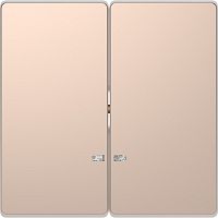 Лицевая панель Schneider Electric Merten D-Life для 2-кл. выключателя с подсветкой шампань Legrand — купить по цене от 4&nbsp;605 ₽ | ПрофБезопасность