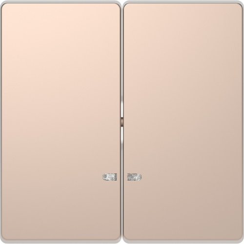 Лицевая панель Schneider Electric Merten D-Life для 2-кл. выключателя с подсветкой шампань, Legrand, купить, цена, доставка, безопасность Лицевая панель Schneider Electric Merten D-Life для 2-кл. выключателя с подсветкой шампань Legrand — купить по цене от 4 605 ₽ | ПрофБезопасность