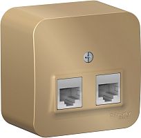 Розетка компьютерная накладная Systeme Electric Blanca 2-м. RJ45+RJ45 5e титан