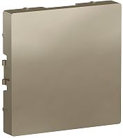 Заглушка без рамки Systeme Electric AtlasDesign шампань