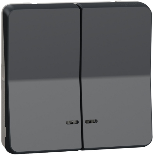 Выключатель самовозвратный с подсветкой без рамки Schneider Electric Mureva Styl 2-кл. IP55 антрацит Schneider Electric — купить по цене от 3&nbsp;680 ₽ | ПрофБезопасность