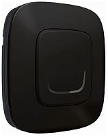 Умный выключатель беспроводной Valena Allure Netatmo 1-кл. IP20 антрацит Legrand — купить по цене от 5&nbsp;428 ₽ | ПрофБезопасность