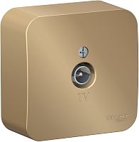 Розетка TV Коннектор накладная Systeme Electric Blanca 1-м. титан