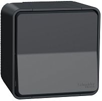 Переключатель накладной Schneider Electric Mureva Styl 1-кл. проходной IP55 антрацит