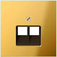Лицевая панель Jung LS990 metal для 2-м. розетки RJ11/RJ45 золото Jung — купить по цене от 26&nbsp;638 ₽ | ПрофБезопасность
