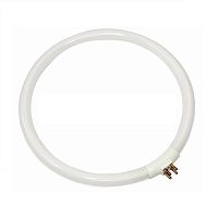 Лампа для луп 6025 (круглая) Rexant 22Вт G10q 31-0803 Rexant — купить по цене от 573 ₽ | ПрофБезопасность
